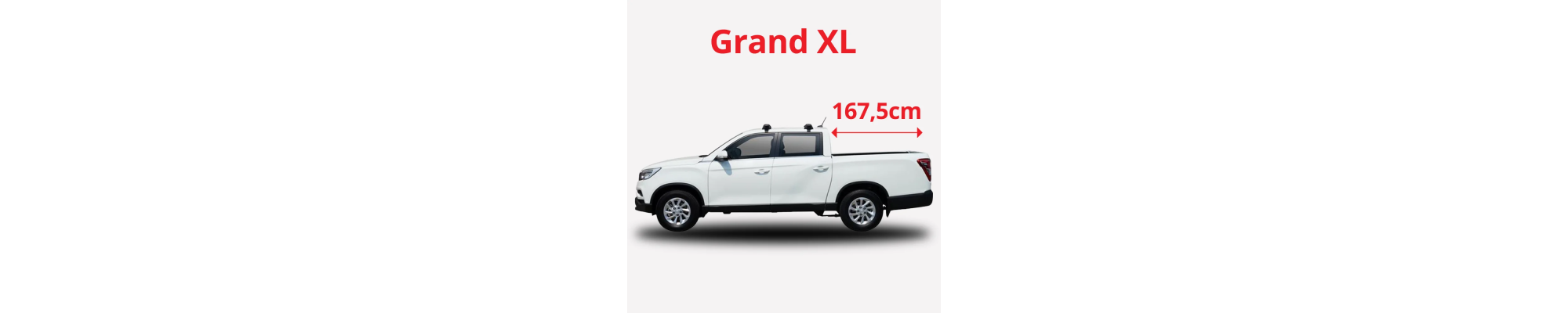 Musso Grand | Rexton XL (167.5cm)