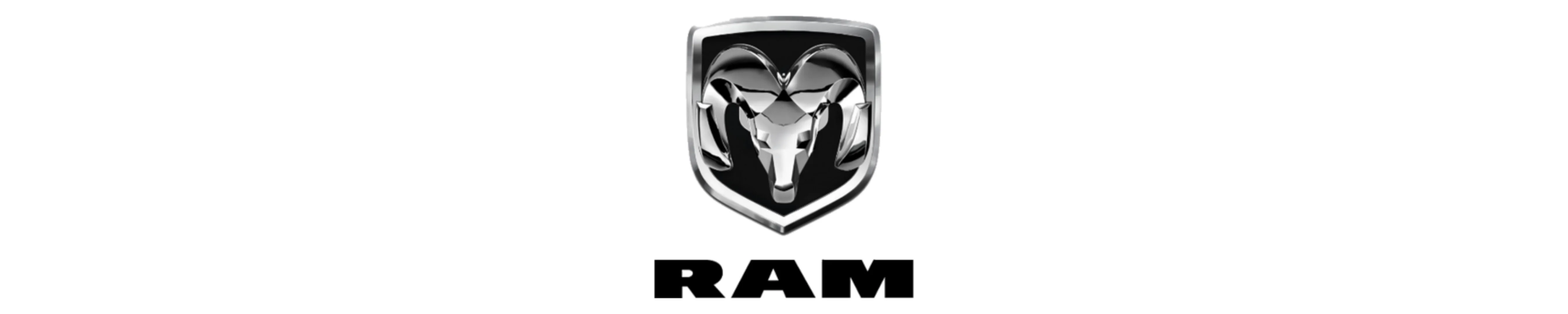 RAM
