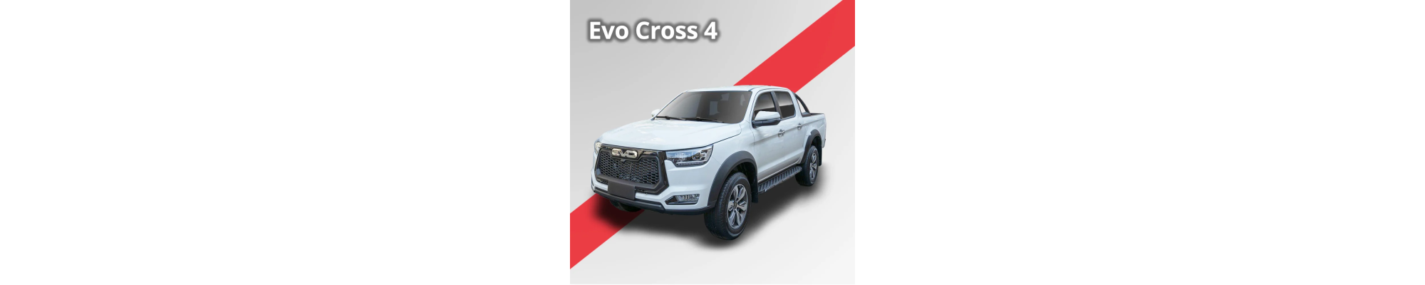 EVO Cross 4