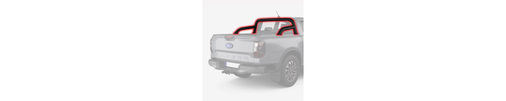 XLT | SPORT