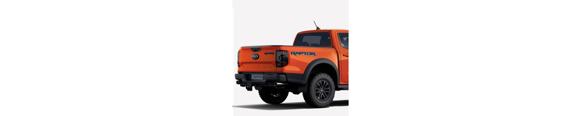 RAPTOR
